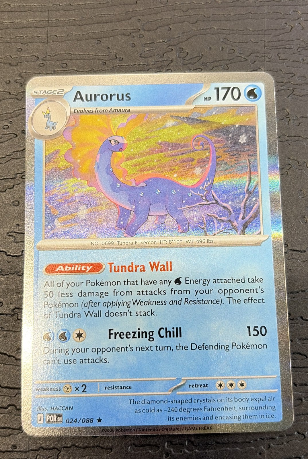 Aurorus 024/088 Me03: Perfect Order Holo NM0