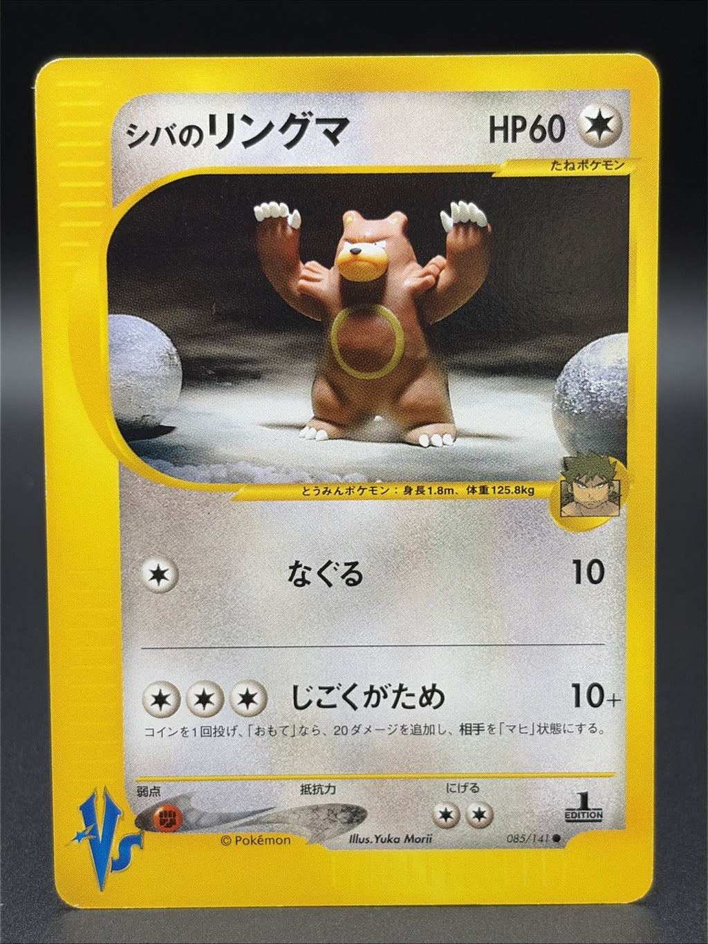 Bruno's Ursaring 085/141 Pokemon vs Regular (Japanese)0