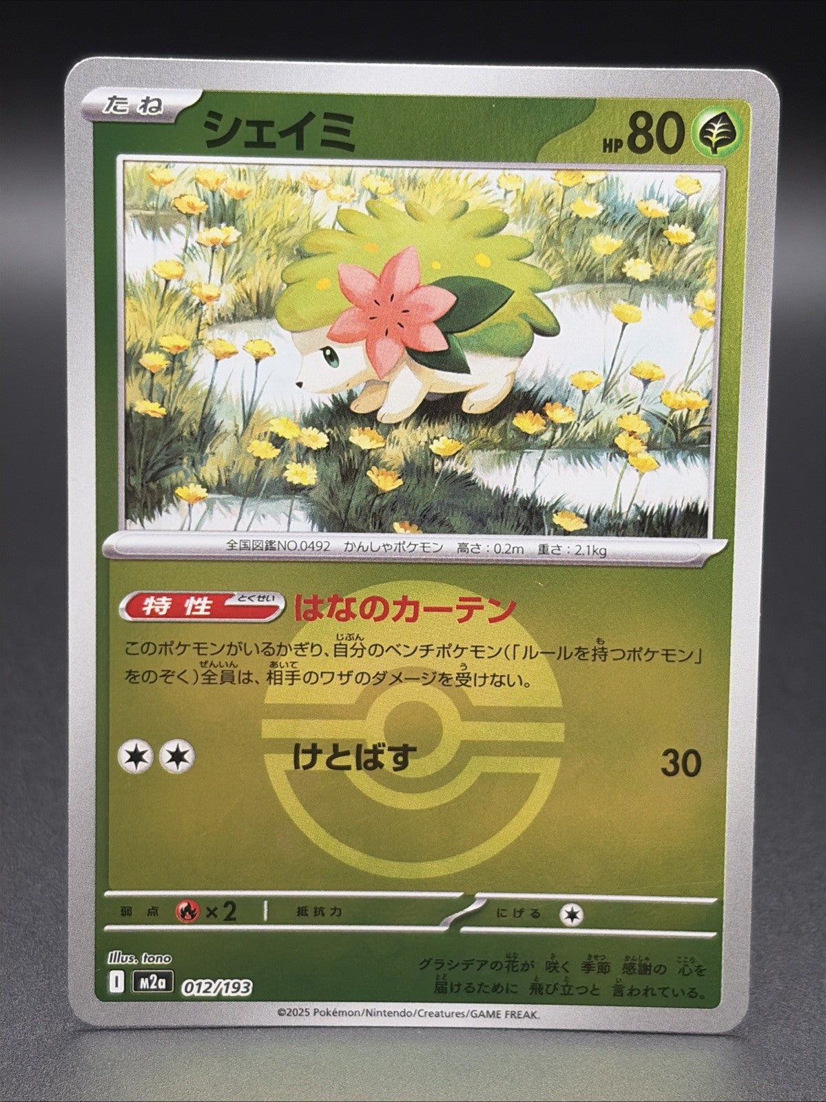 Shaymin [Ball] #12 Pokemon Japanese Mega Dream Ex0