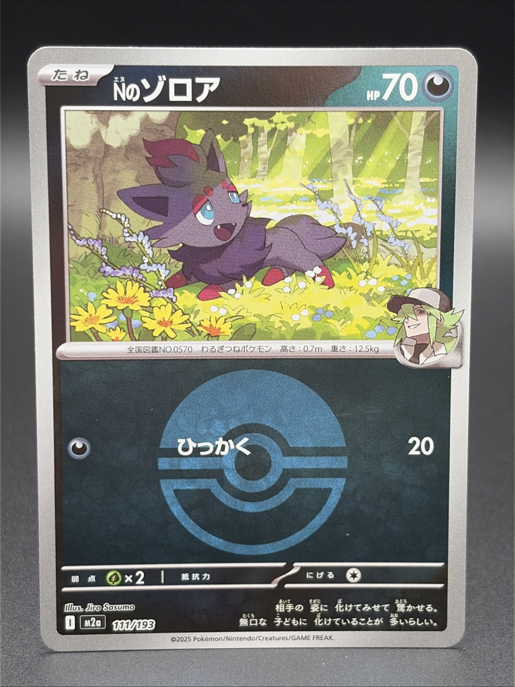 N’s Zorua 111/193 Dark Energy Reverse Holo Pokemon Mega Dream0