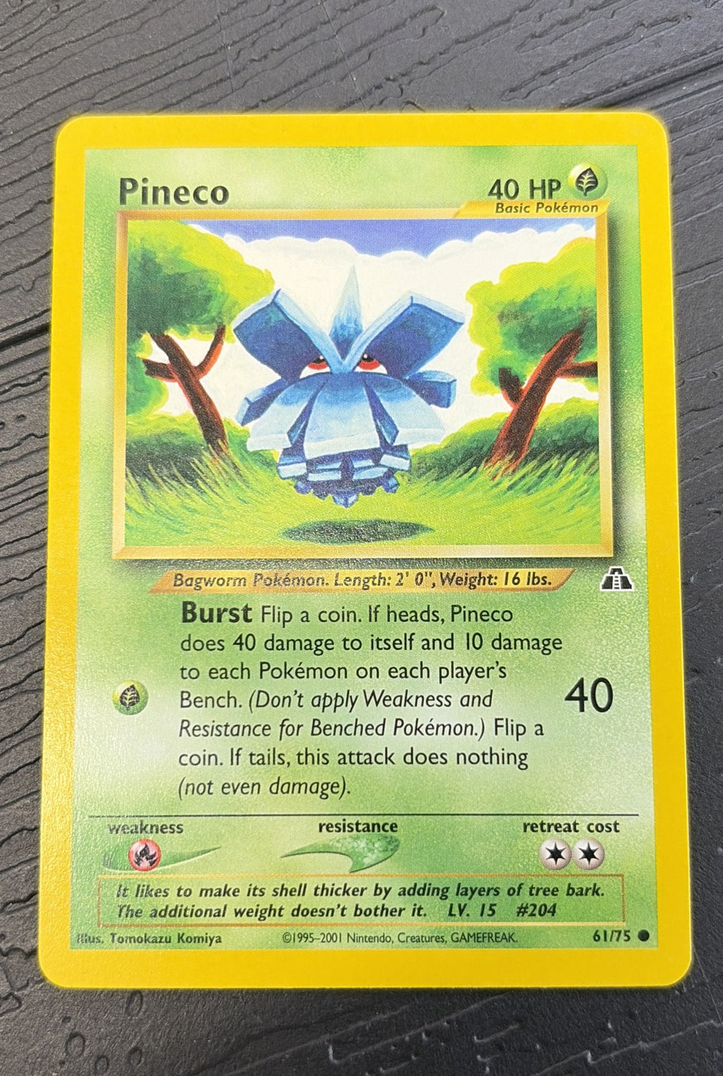 Pineco 61/75 Neo Discovery NM0
