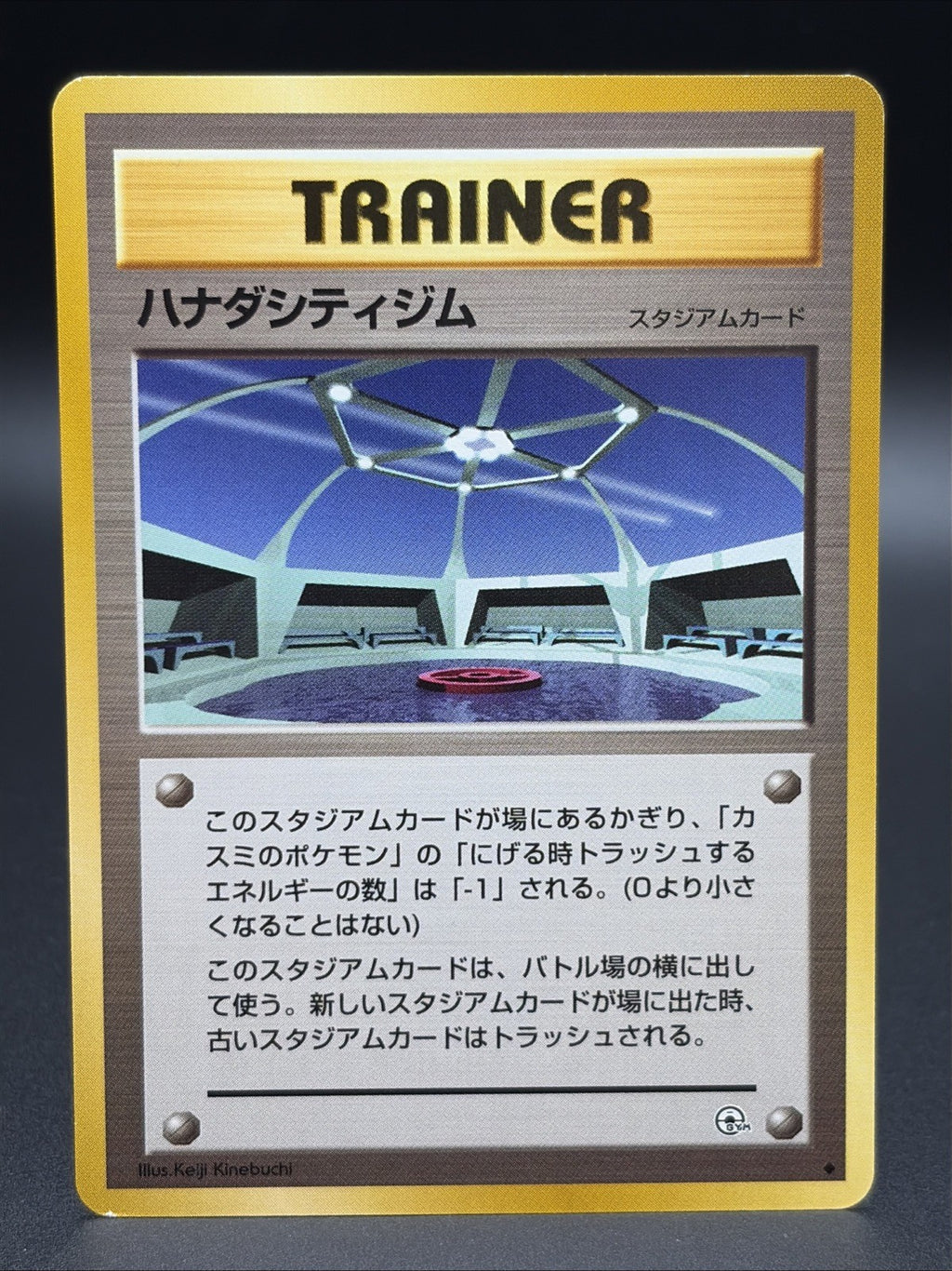 Cerulean City Gym Leaders' Stadium Regular (Japanese)0