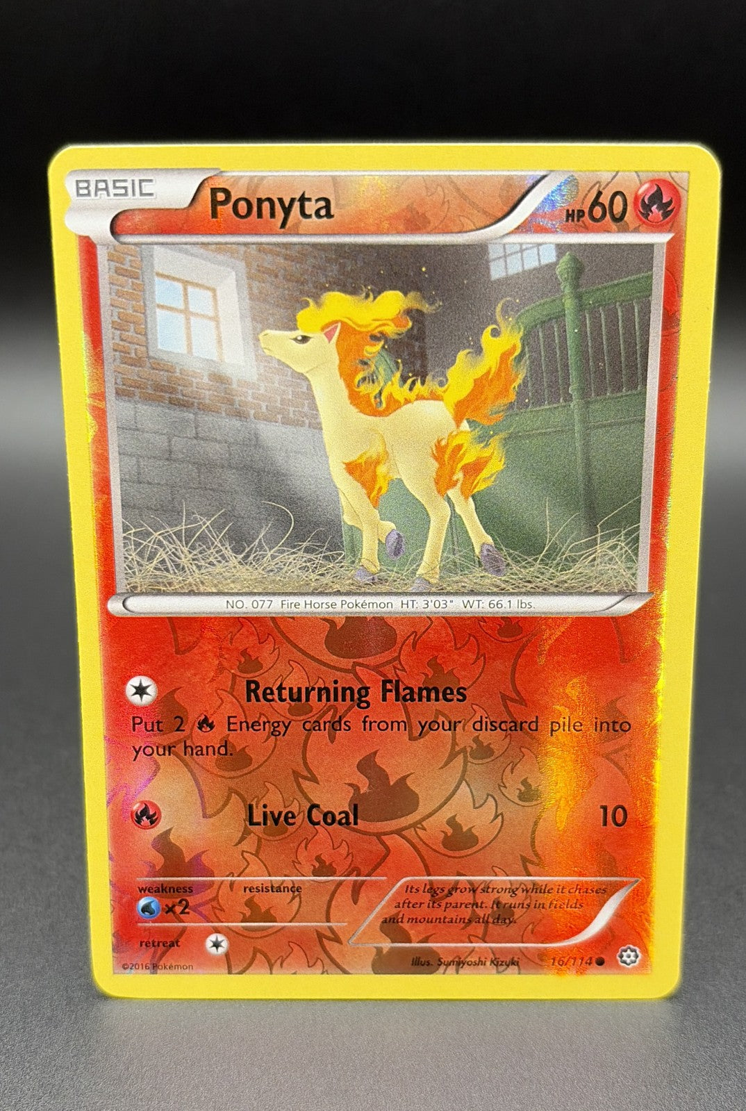 Ponyta 16/114 XY - Steam Siege Reverse Holo0