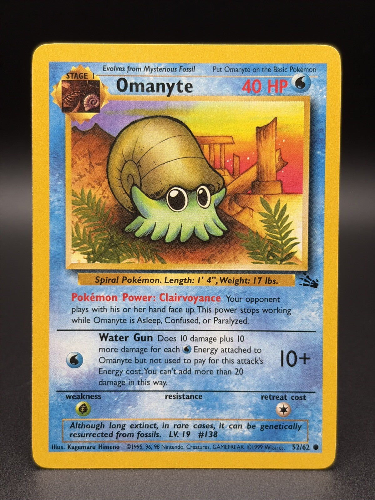 Omanyte 52/62 Fossil Regular0