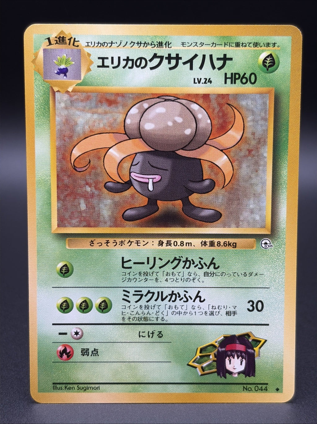 Erika's Gloom Leaders' Stadium Regular (Japanese)0