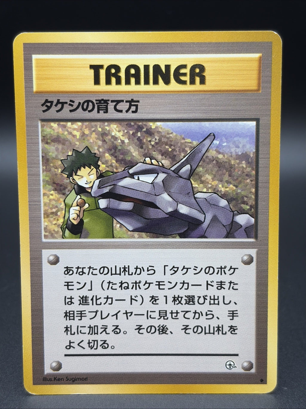 Brock's Training Method Leaders' Stadium Regular (Japanese)0