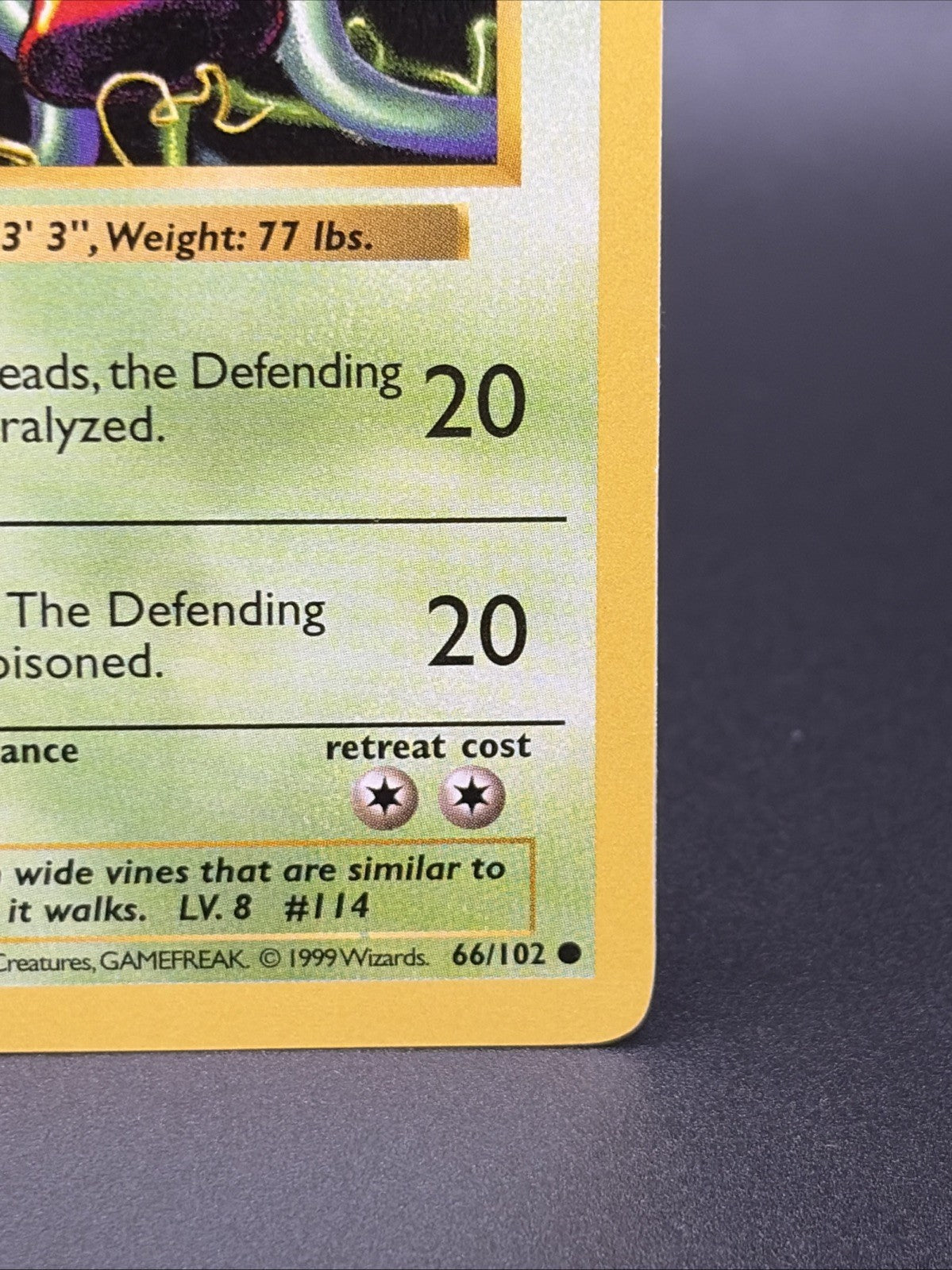Tangela 066/102 Base Set (Shadowless) Regular NM/MINT3